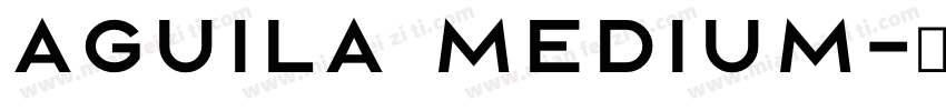 Aguila Medium字体转换